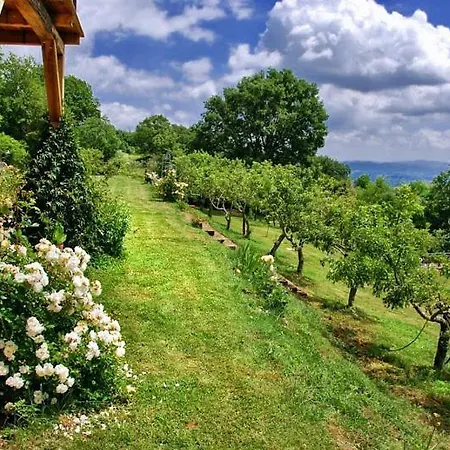 Molino Vitelli Sleeps 8 Pool Wifi 别墅 *